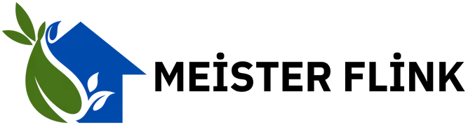 Meister Flink
